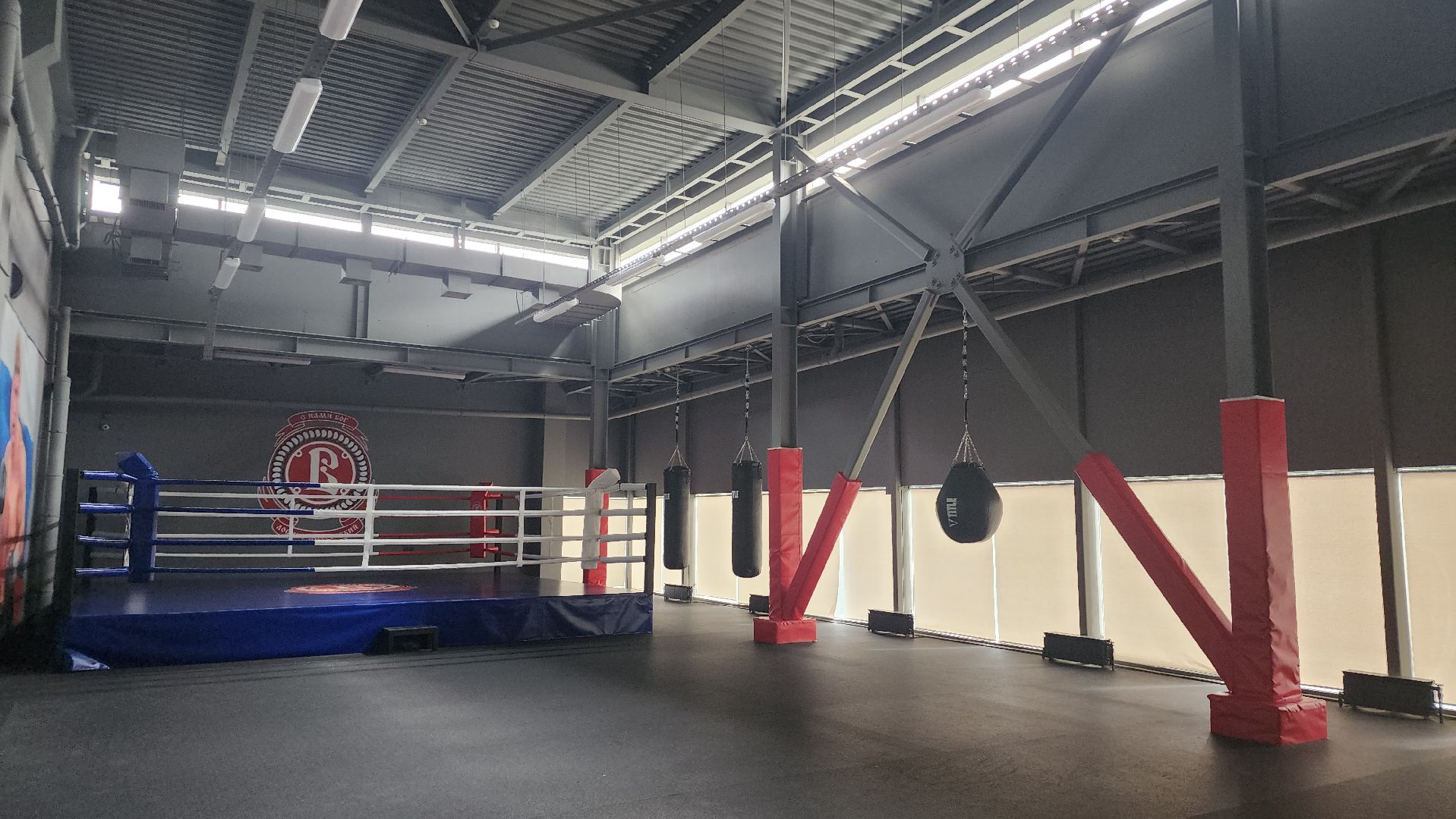 спорт, бассейн, стадион, лосино-петровский,