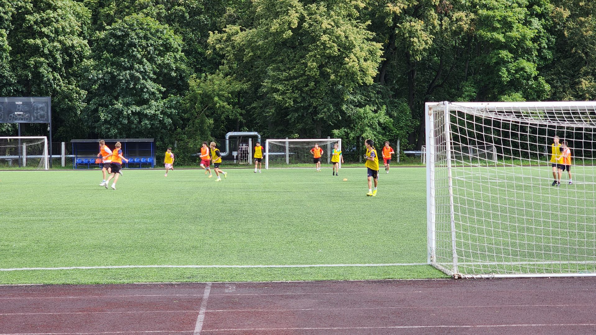 спорт, бассейн, стадион, лосино-петровский,