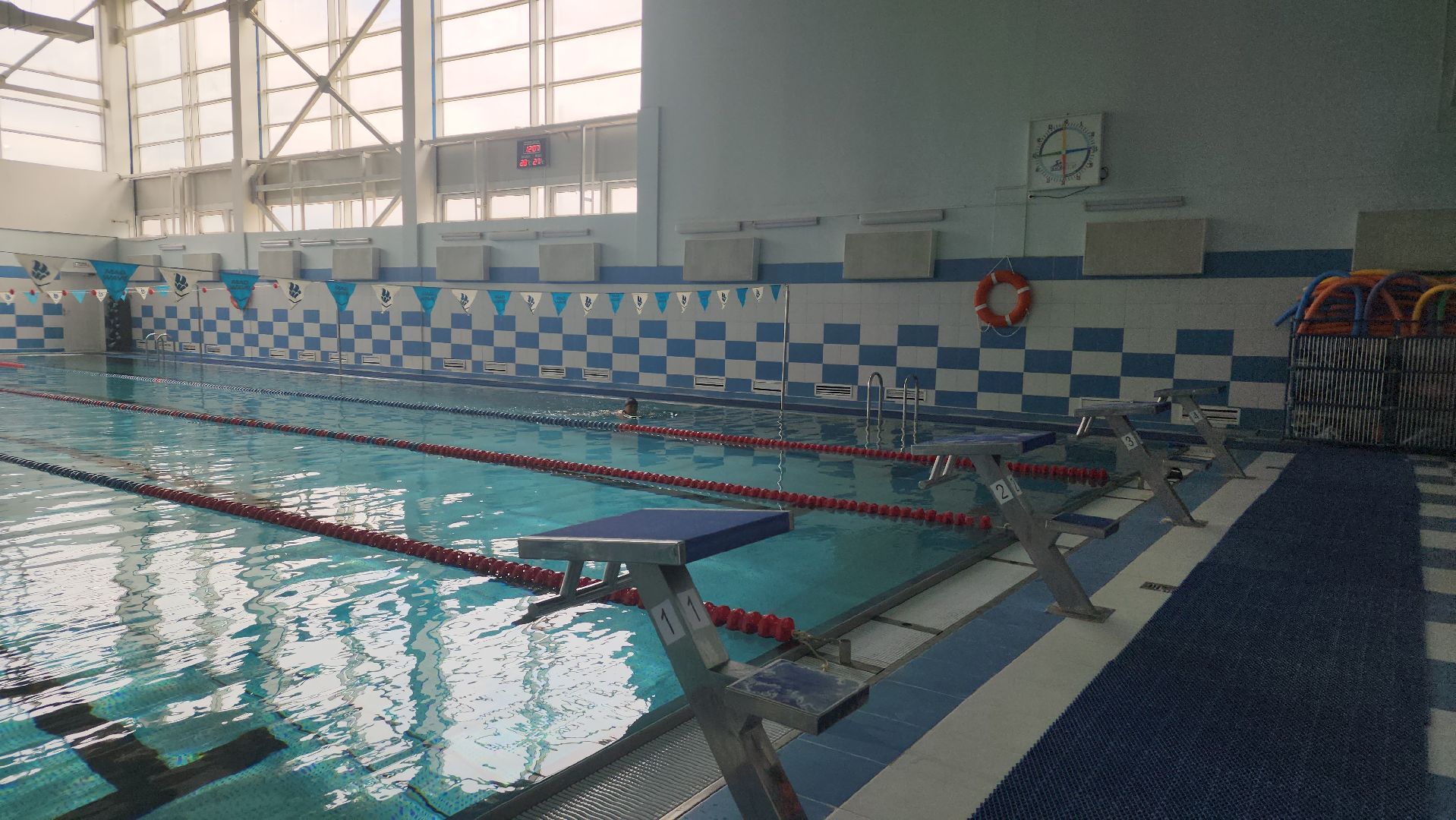 спорт, бассейн, стадион, лосино-петровский,