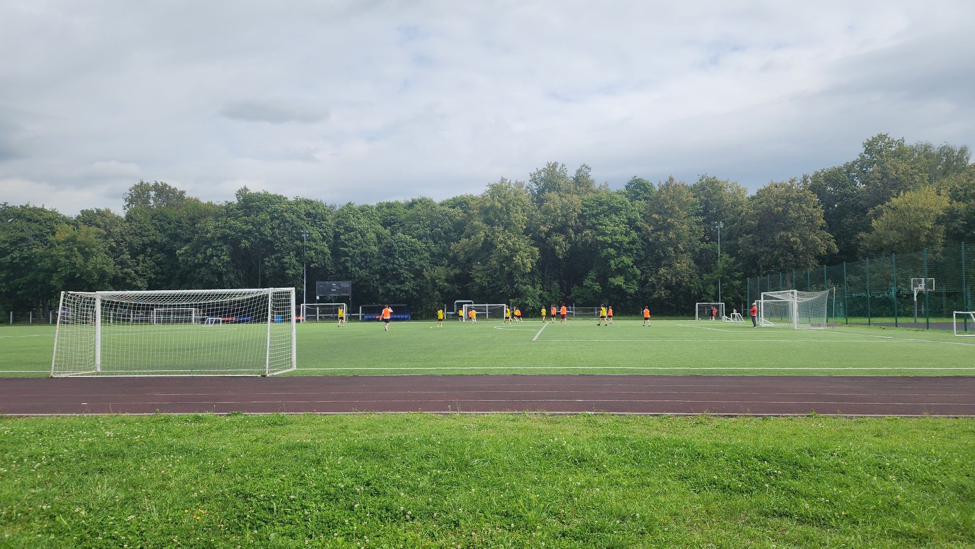 спорт, бассейн, стадион, лосино-петровский,