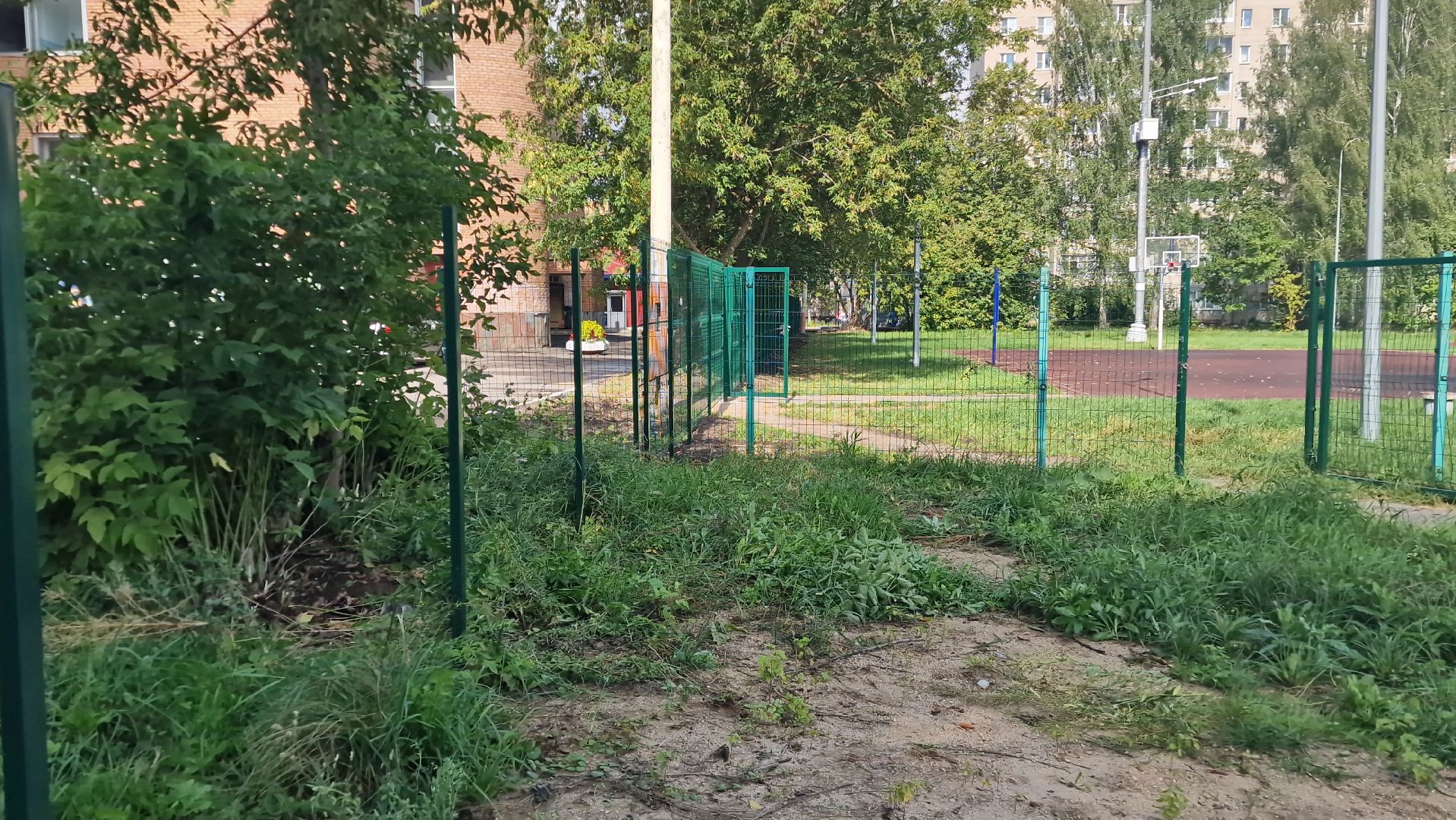 дубна, образование,