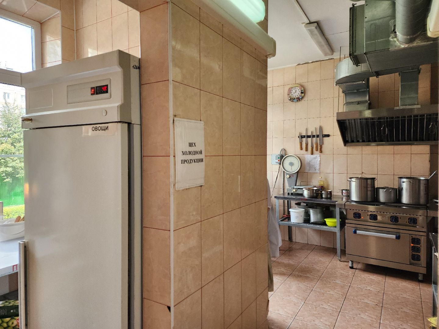 чехов, микрорайон венюково , школа 9, дошкольное отделение , подготовка к новому учебному году , косметический ремонт , обновление пищеблока, ремонт бассейна , благоустройство территории, метеостанция, комиссия, проверка,