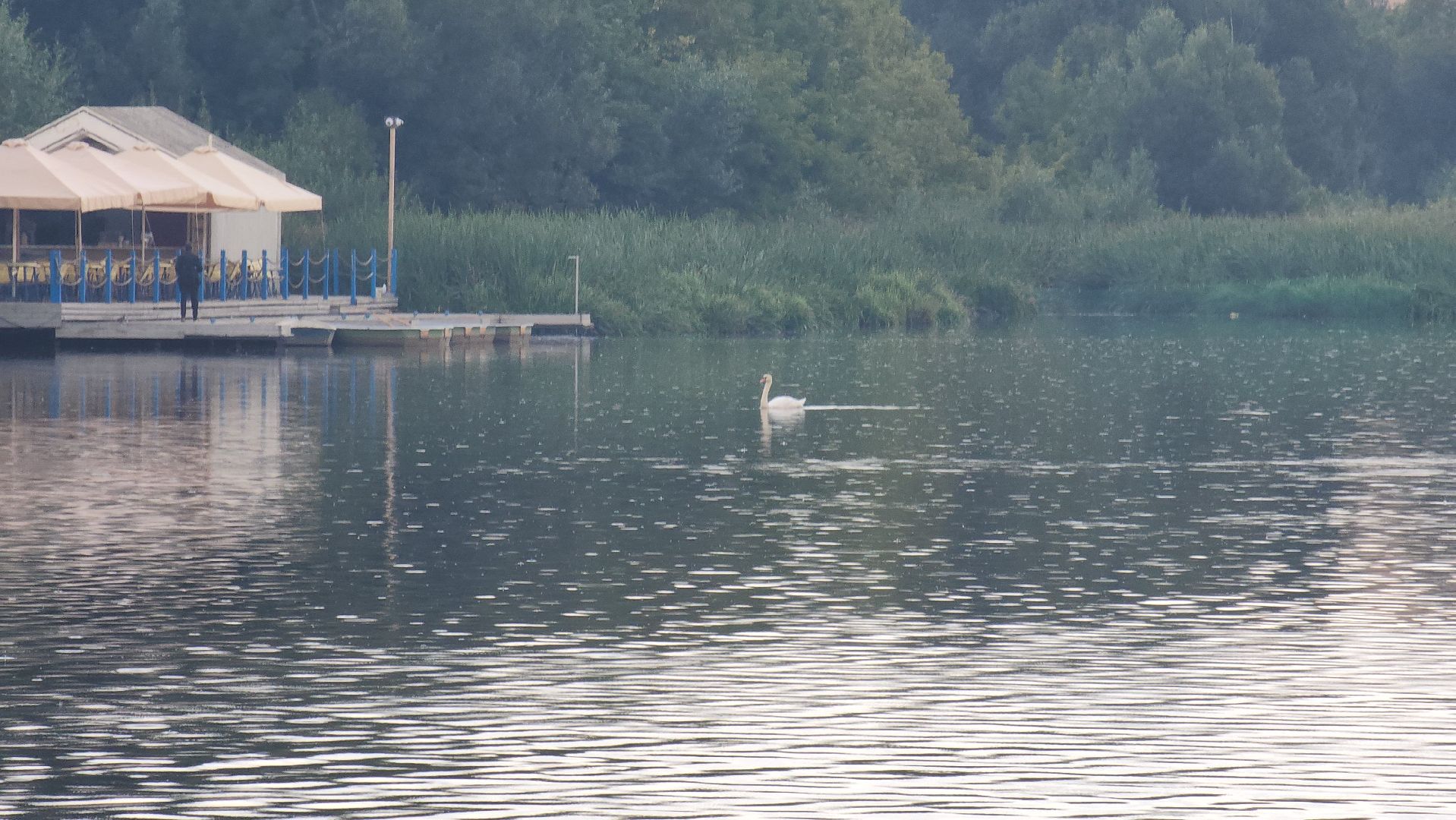 мытищи, выездная администрация,