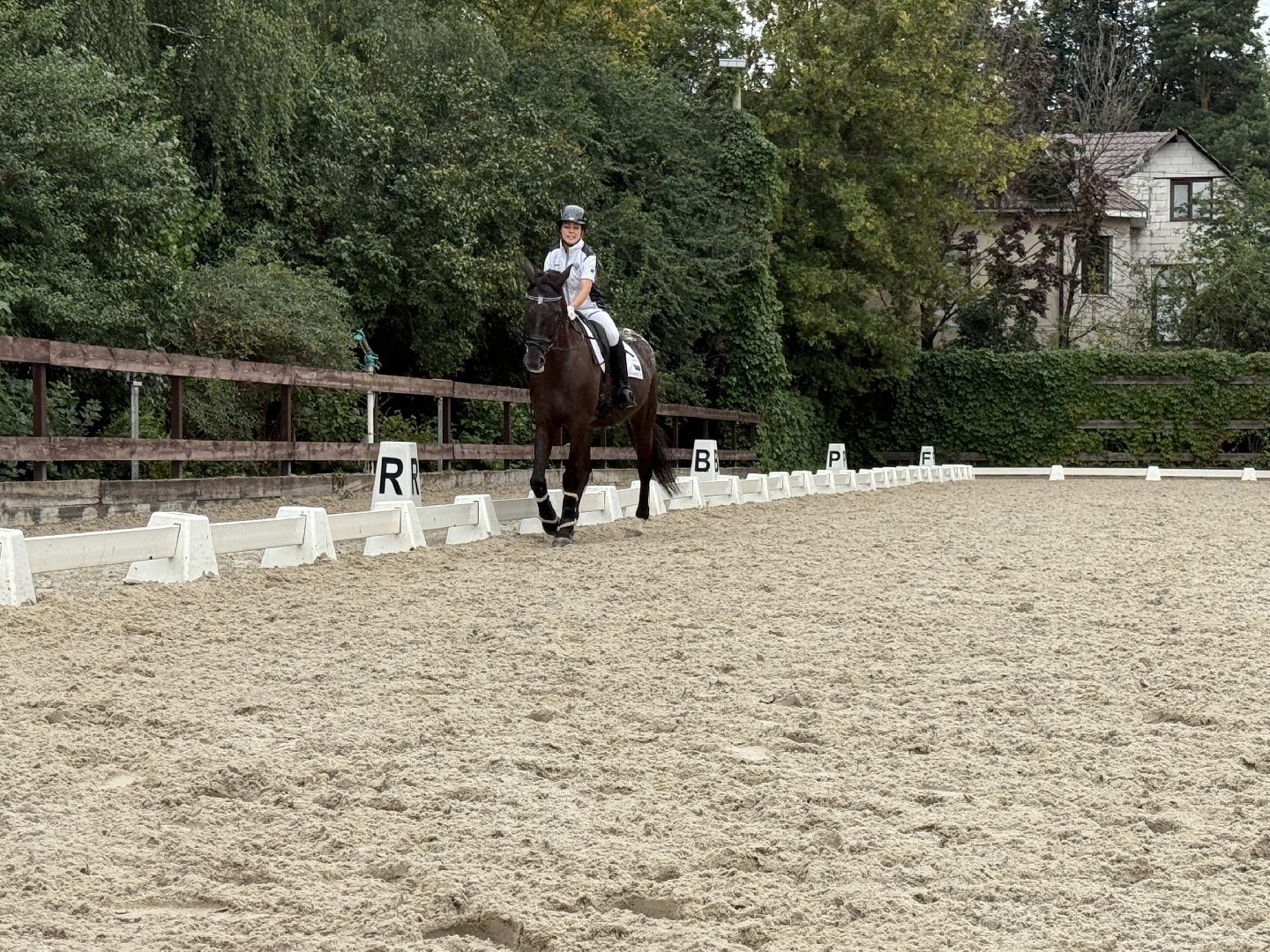 котельники, мастер спорта, конный спорт, спортсмены с ограниченными возможностями, призер,