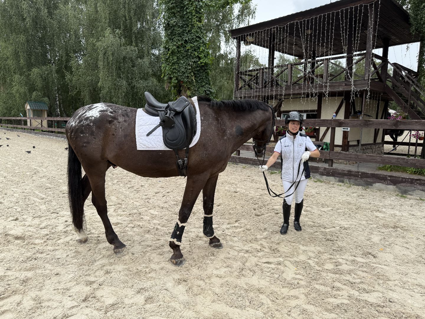 котельники, мастер спорта, конный спорт, спортсмены с ограниченными возможностями, призер,