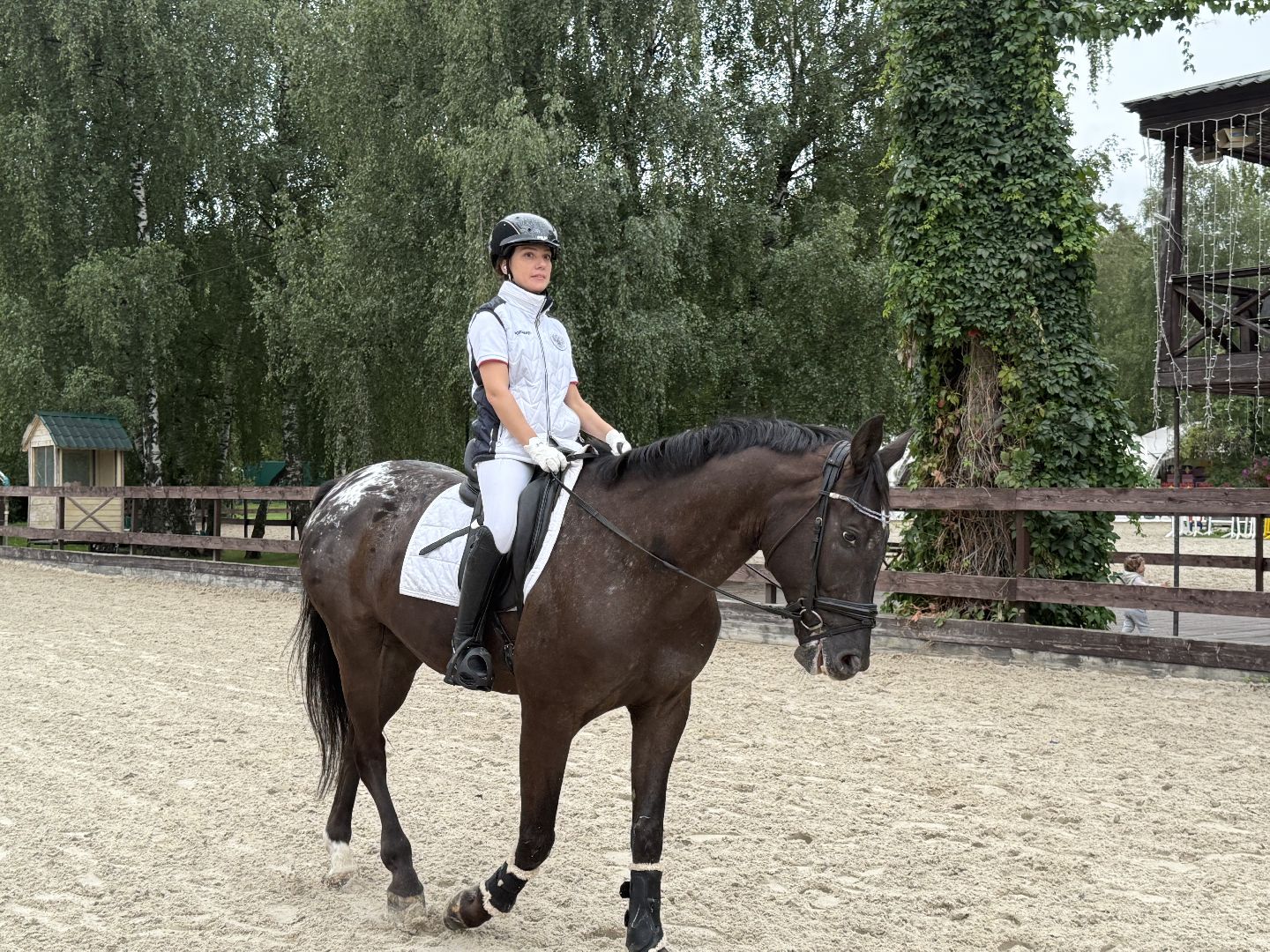 котельники, мастер спорта, конный спорт, спортсмены с ограниченными возможностями, призер,