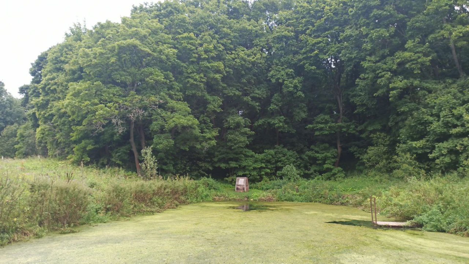 серпухов, деревня жерновка, ремонт колодца в деревне, выездная администрация,