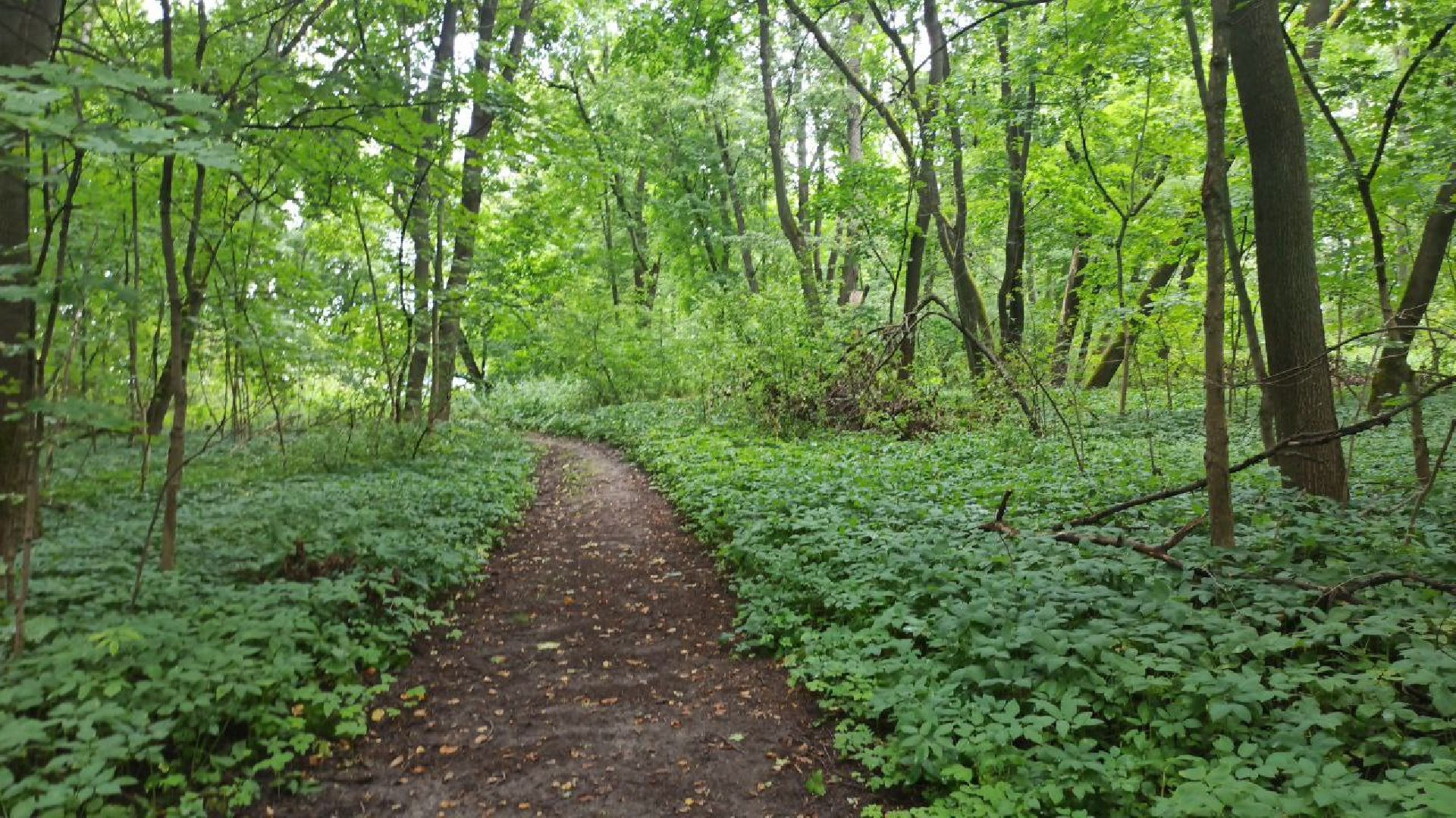 серпухов, деревня жерновка, ремонт колодца в деревне, выездная администрация,