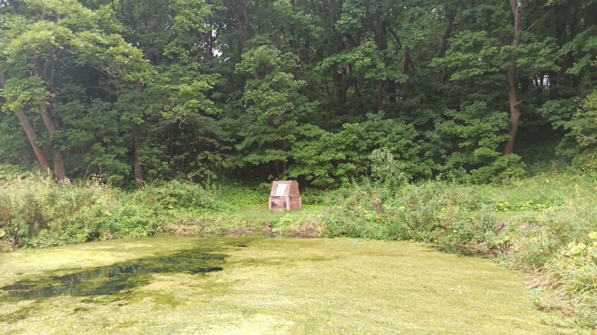серпухов, деревня жерновка, ремонт колодца в деревне, выездная администрация,