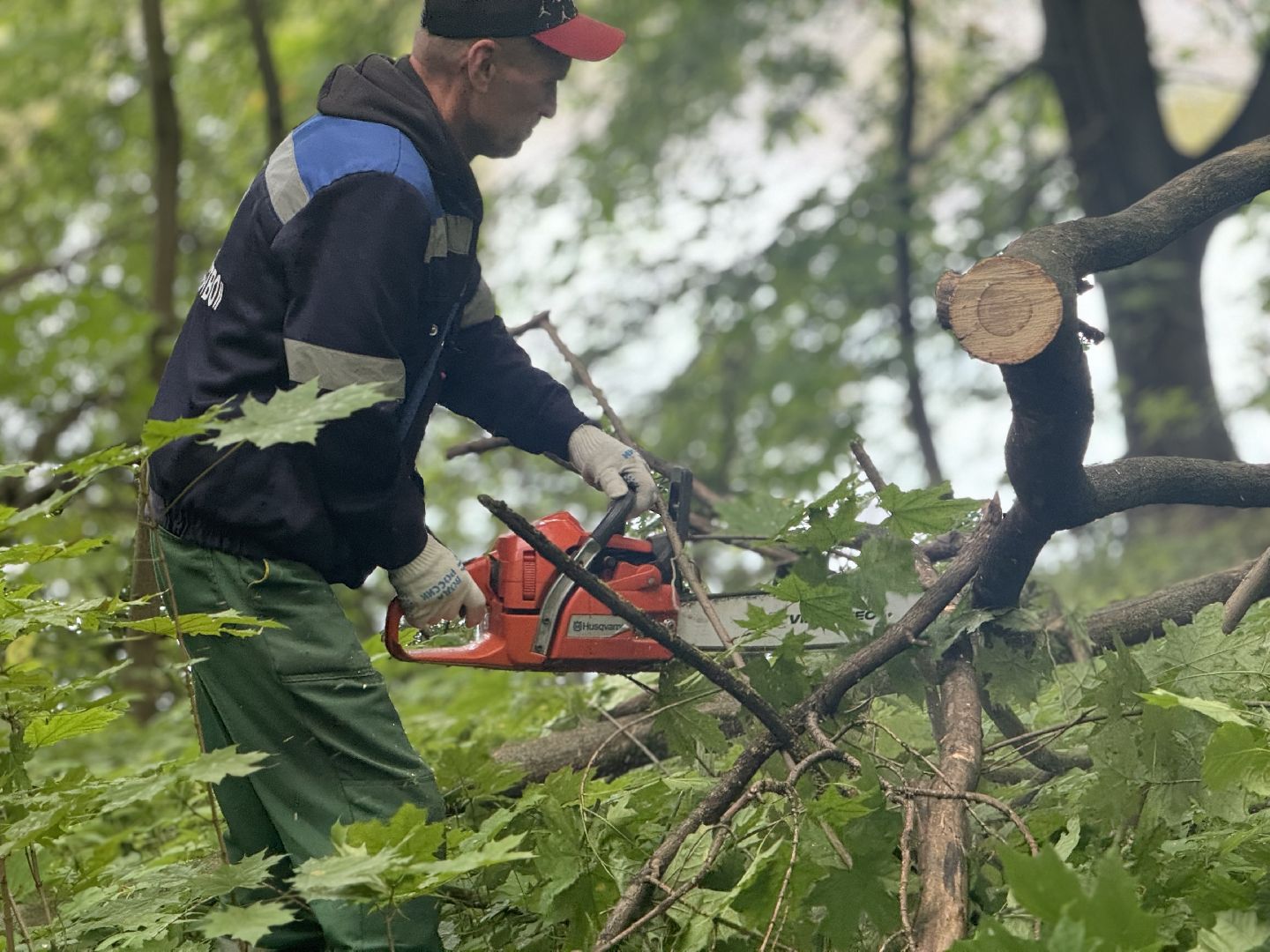 субботник, ленинский городской округ, таболовский пруд, акция вода россии,