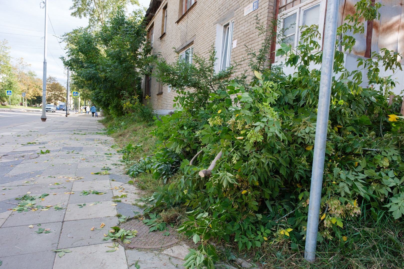 лыткарино , общество , выездная администиация,