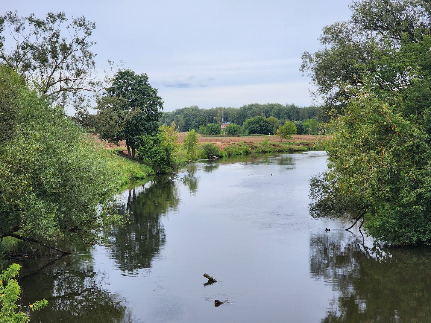 выездная администрация,обращения жителей, прием населения, деревня ельня, богородский городской округ,