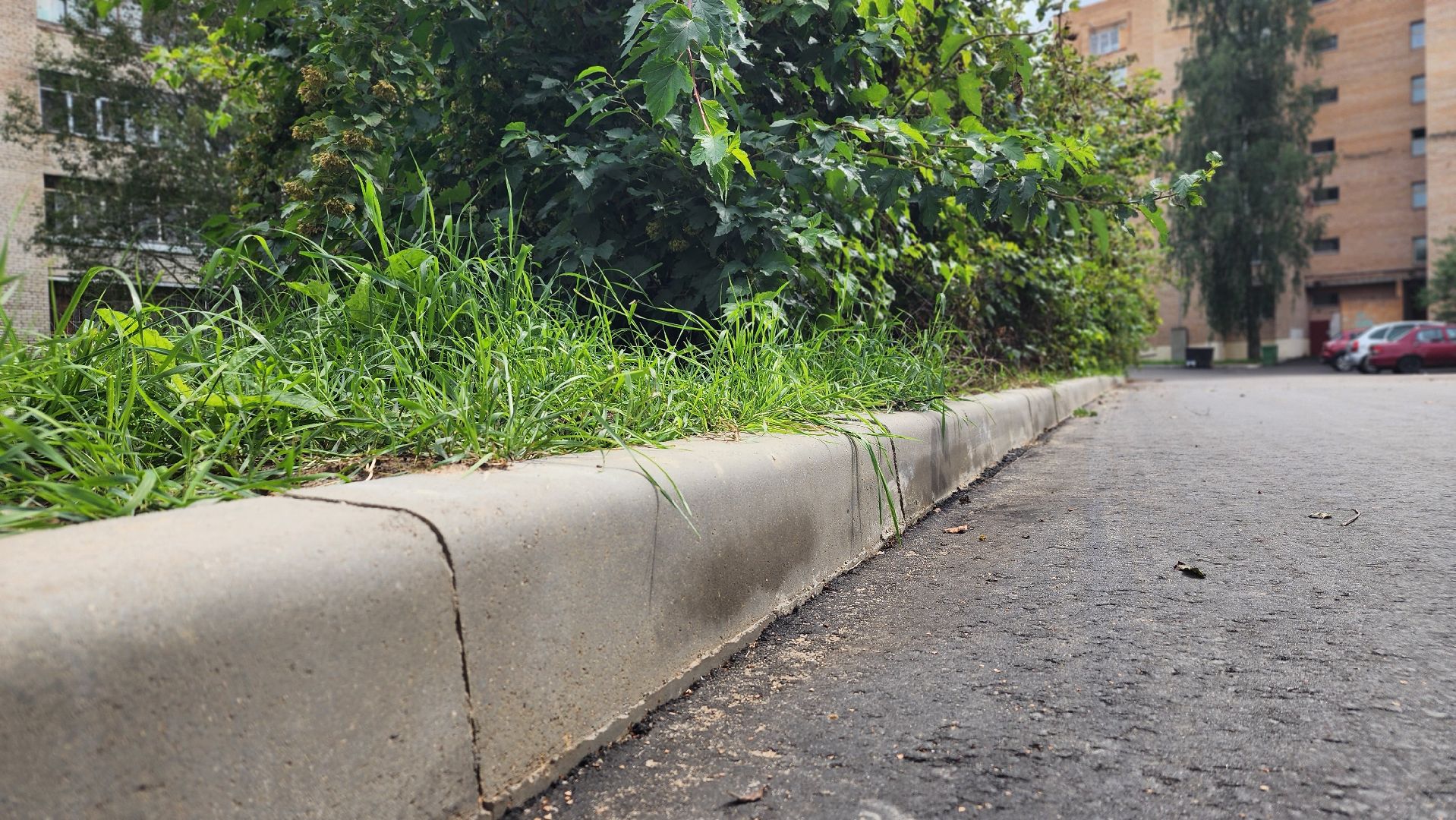 благоустройство , двор, комплексное благоустройство двора, фрязино,