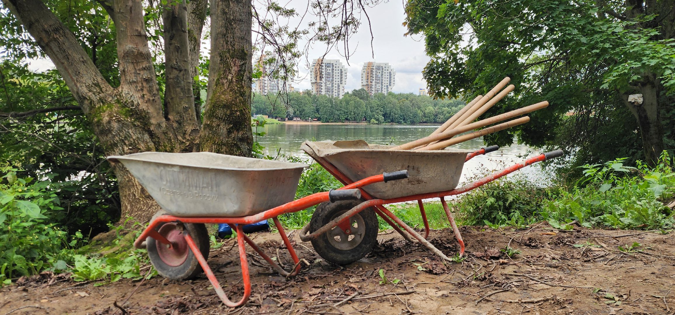 Химки, Парки, Благоустройство , Строительство ,