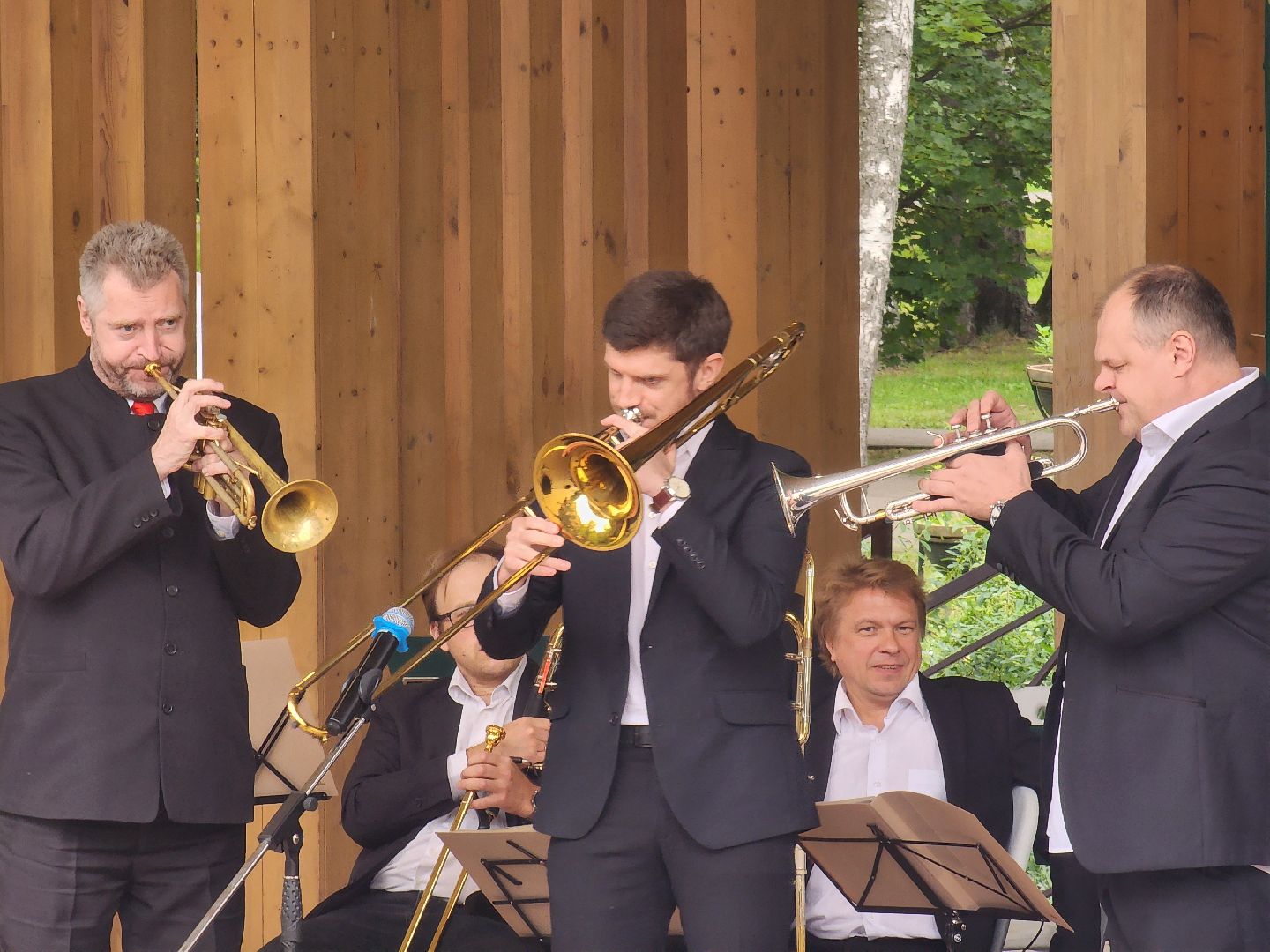 день флага, мытищи,