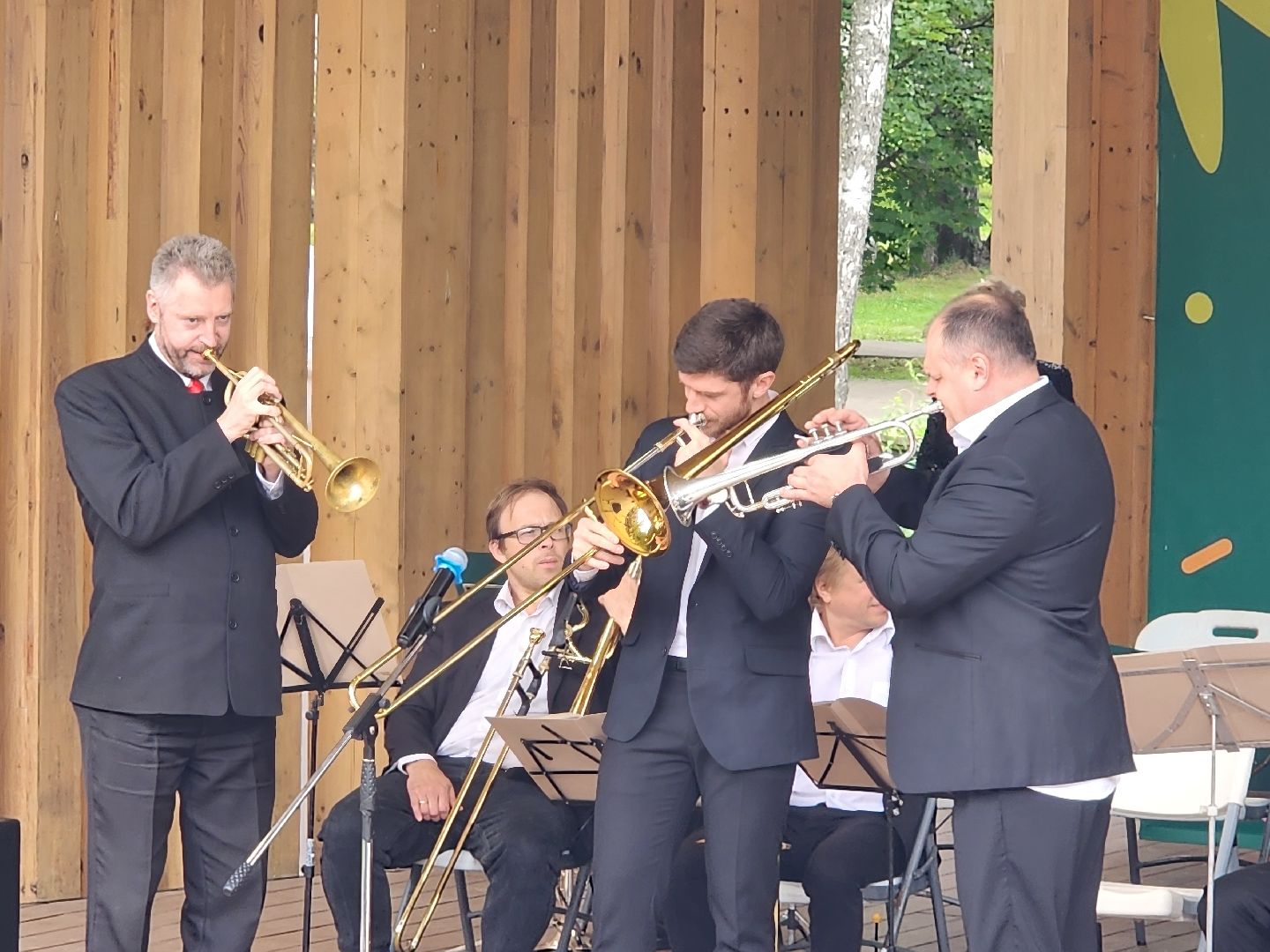 день флага, мытищи,