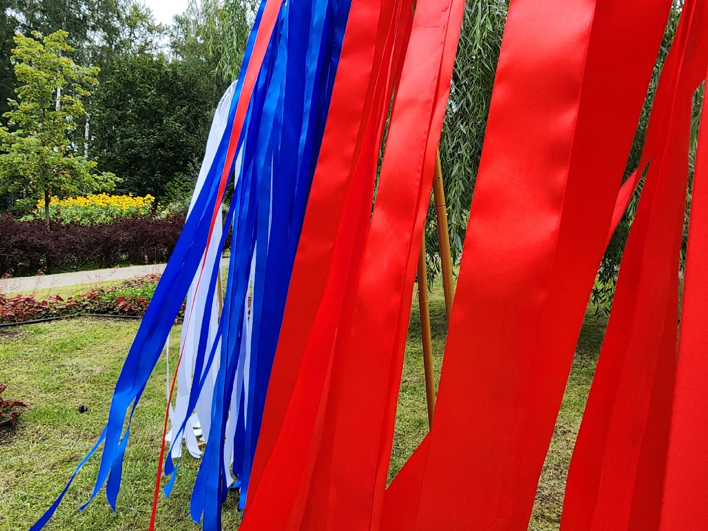 день флага, мытищи,