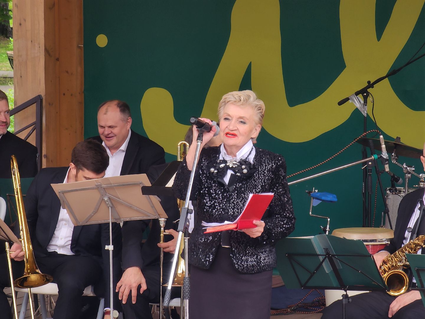 день флага, мытищи,