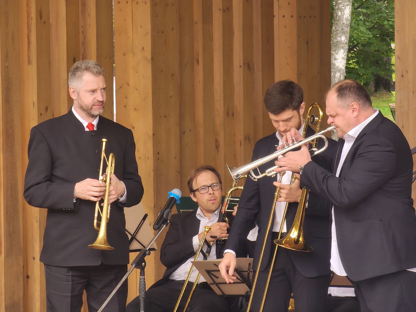 день флага, мытищи,