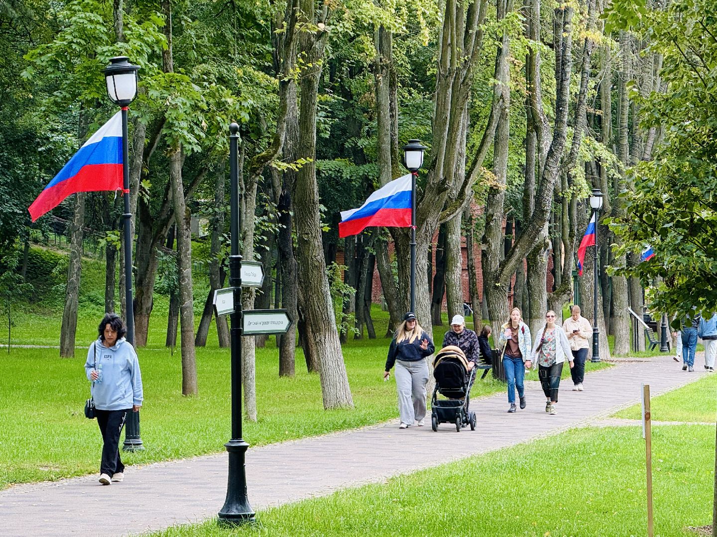 раменское, день флага россии, триколор, раменский городской парк,