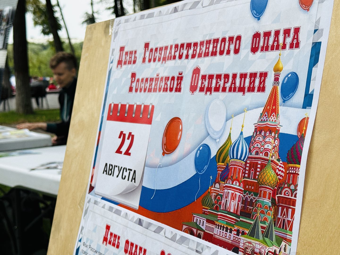 раменское, день флага россии, триколор, раменский городской парк,