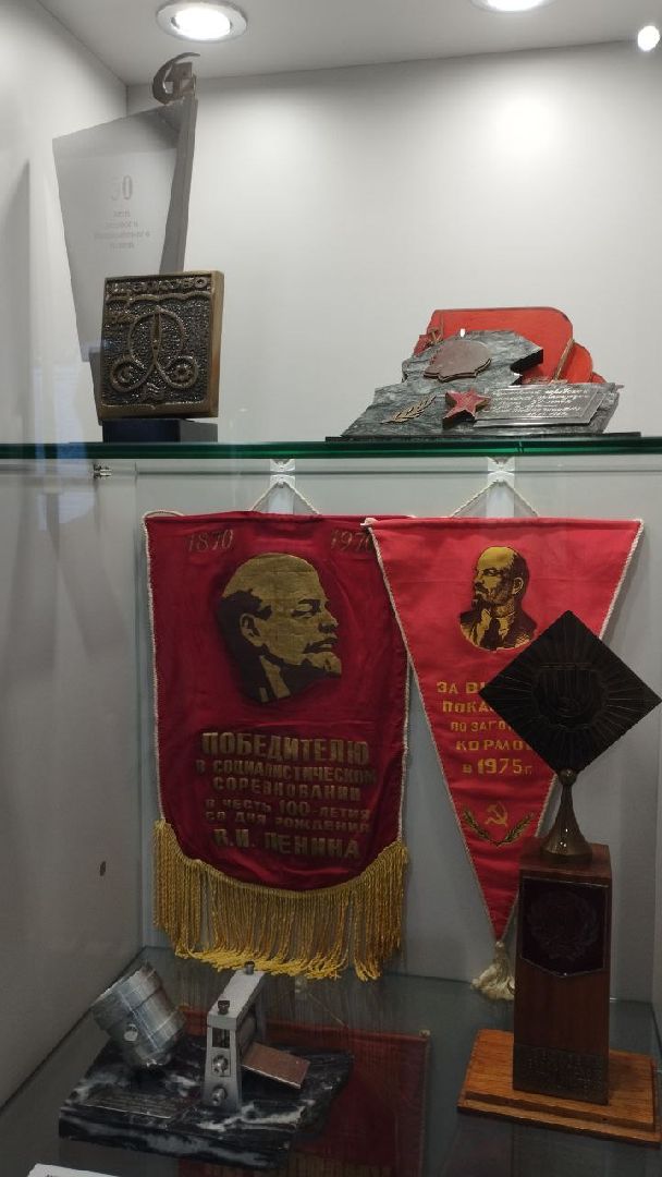 вертикалки, ивантеевка, щёлково, историко-художественный музей, художественная выставка, дети с овз, центр социального обслуживания, экскурсия, социализация детей,