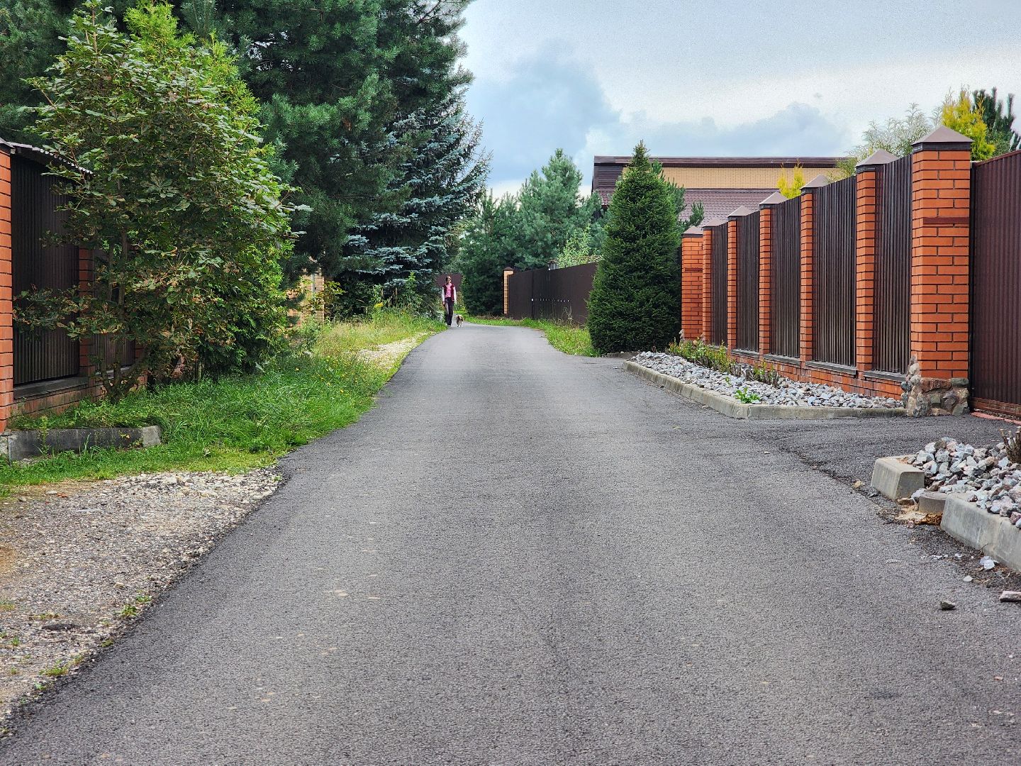 выездная администрация, прием граждан, благоустройство, деревня ельня, богородский городской округ,