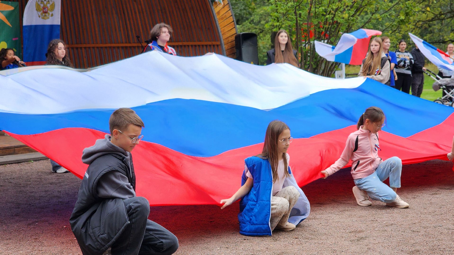день государственного флага, флаг россии, фрязино,