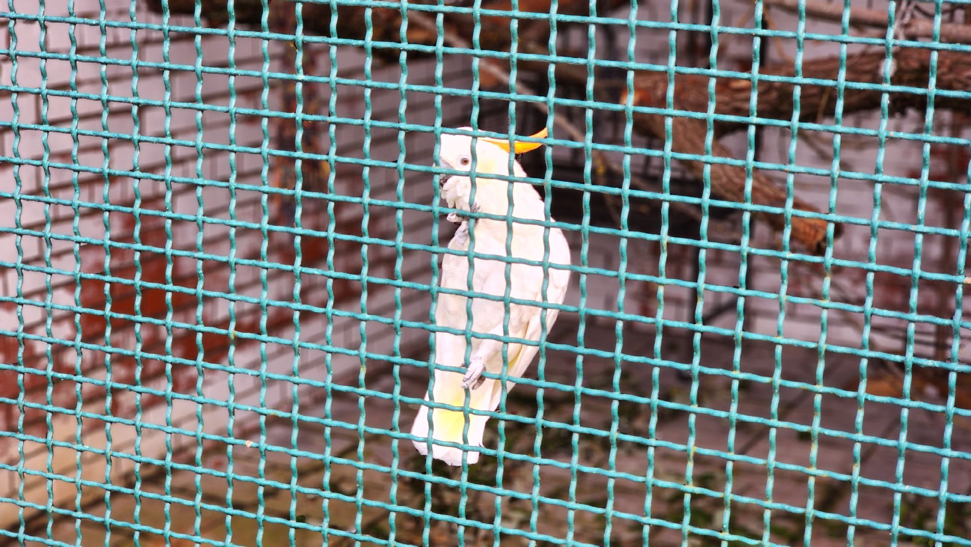 волоколамск, центр воспроизводства редких видов животных, вакансии,