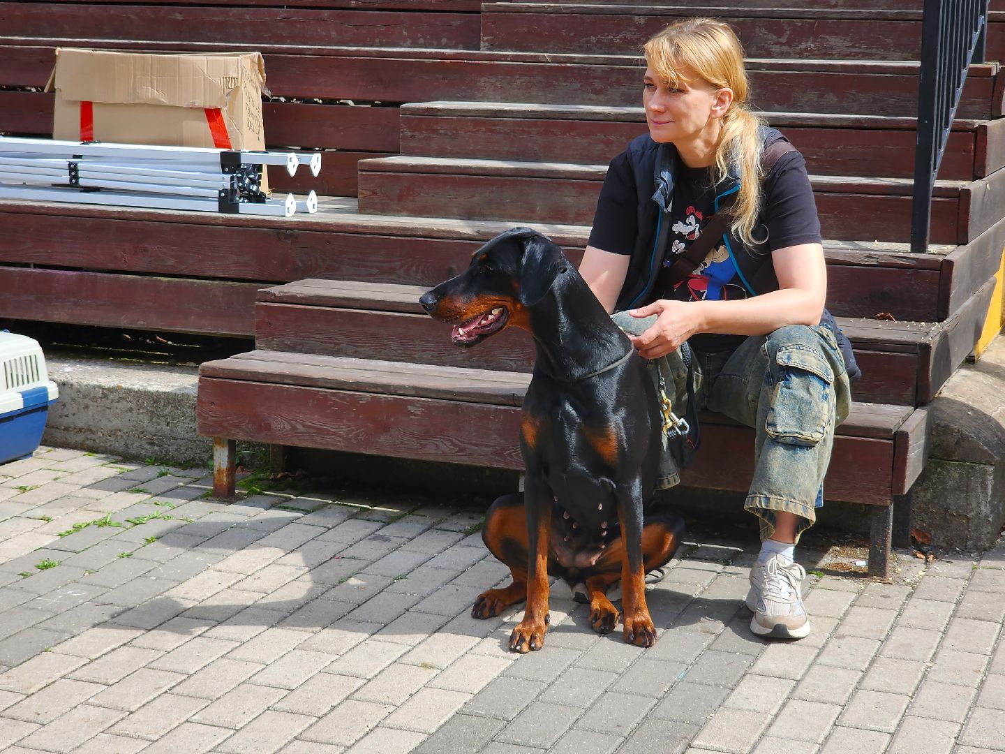 наро-фоминск, выставка собак, нара-дог, наро-фоминский городской округ, центральный парк наро-фоминска,