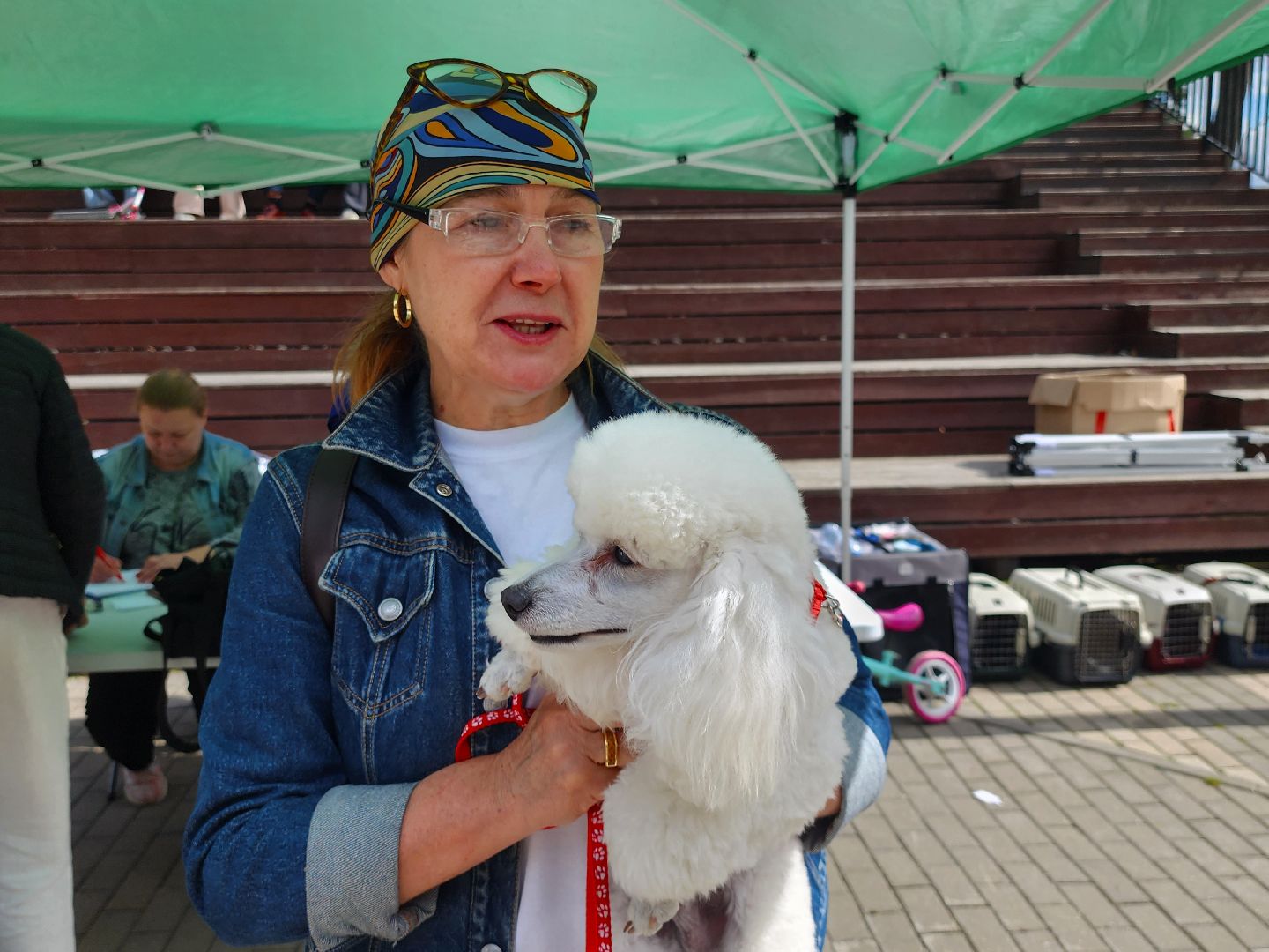 наро-фоминск, выставка собак, нара-дог, наро-фоминский городской округ, центральный парк наро-фоминска,