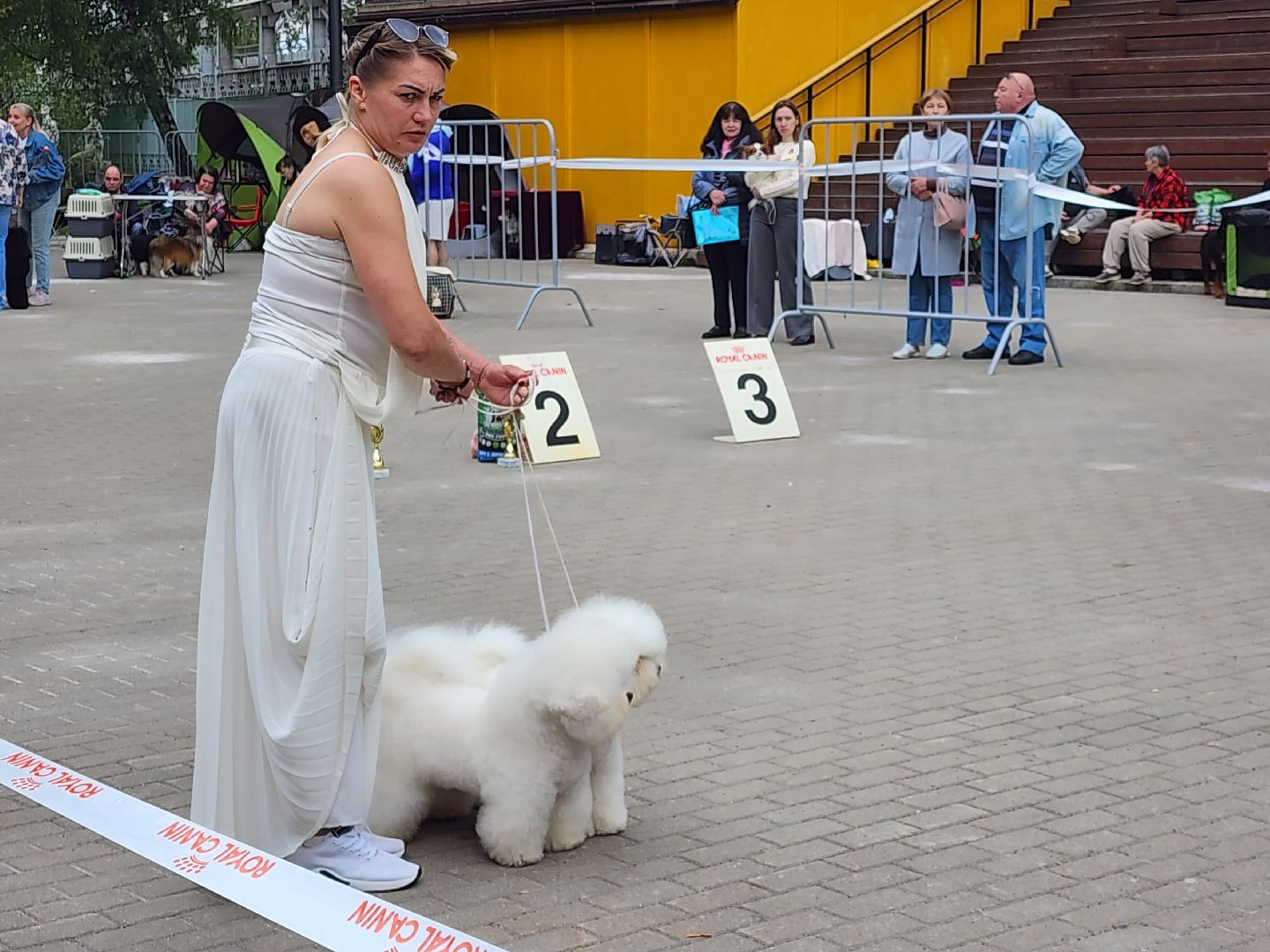 наро-фоминск, выставка собак, нара-дог, наро-фоминский городской округ, центральный парк наро-фоминска,