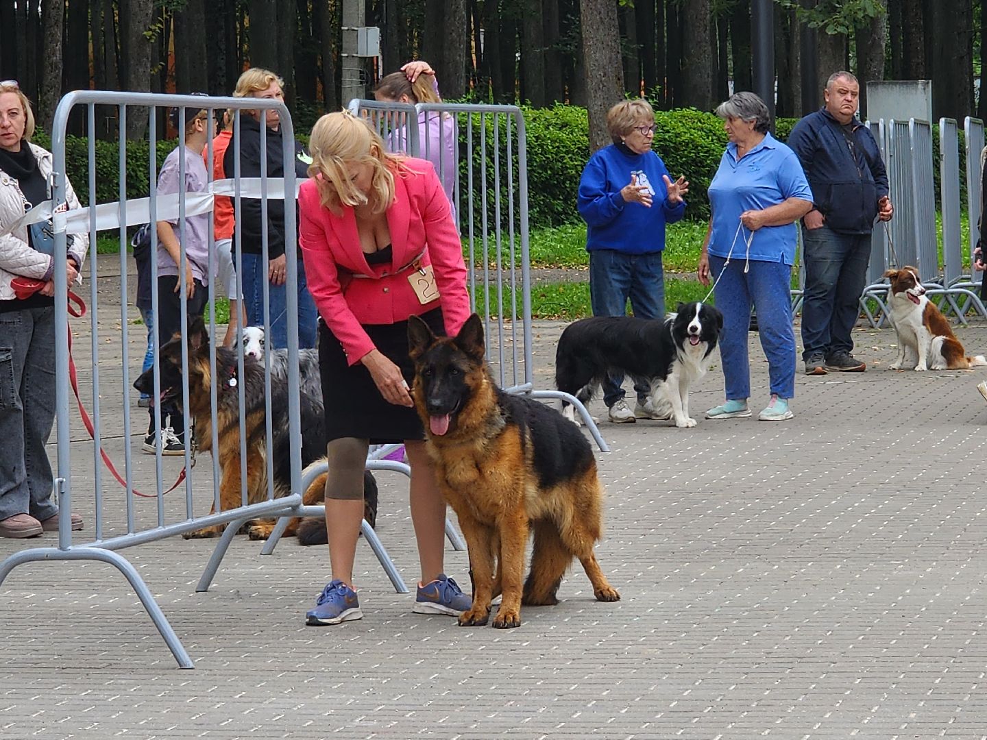 наро-фоминск, выставка собак, нара-дог, наро-фоминский городской округ, центральный парк наро-фоминска,
