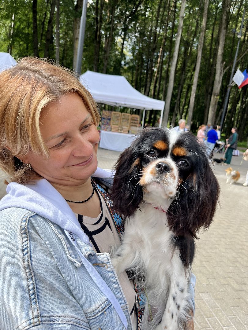 наро-фоминск, выставка собак, нара-дог, наро-фоминский городской округ, центральный парк наро-фоминска,