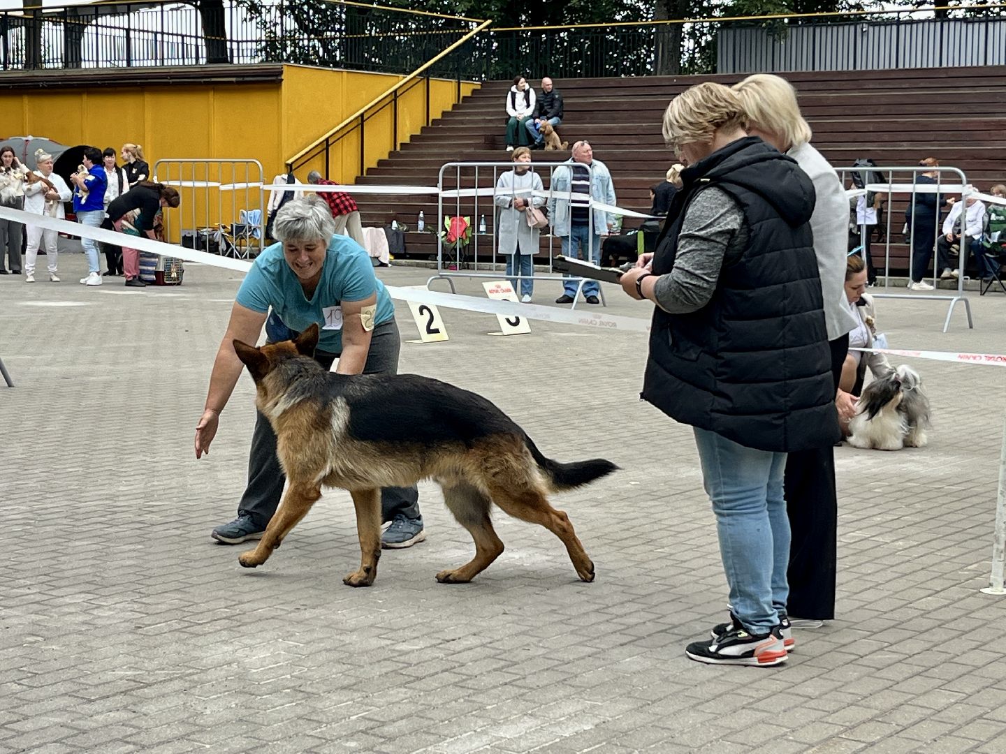 наро-фоминск, выставка собак, нара-дог, наро-фоминский городской округ, центральный парк наро-фоминска,