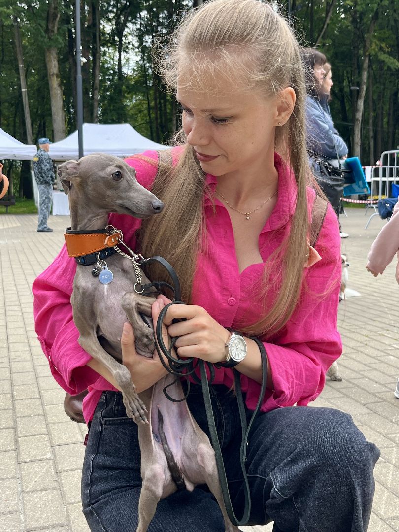 наро-фоминск, выставка собак, нара-дог, наро-фоминский городской округ, центральный парк наро-фоминска,