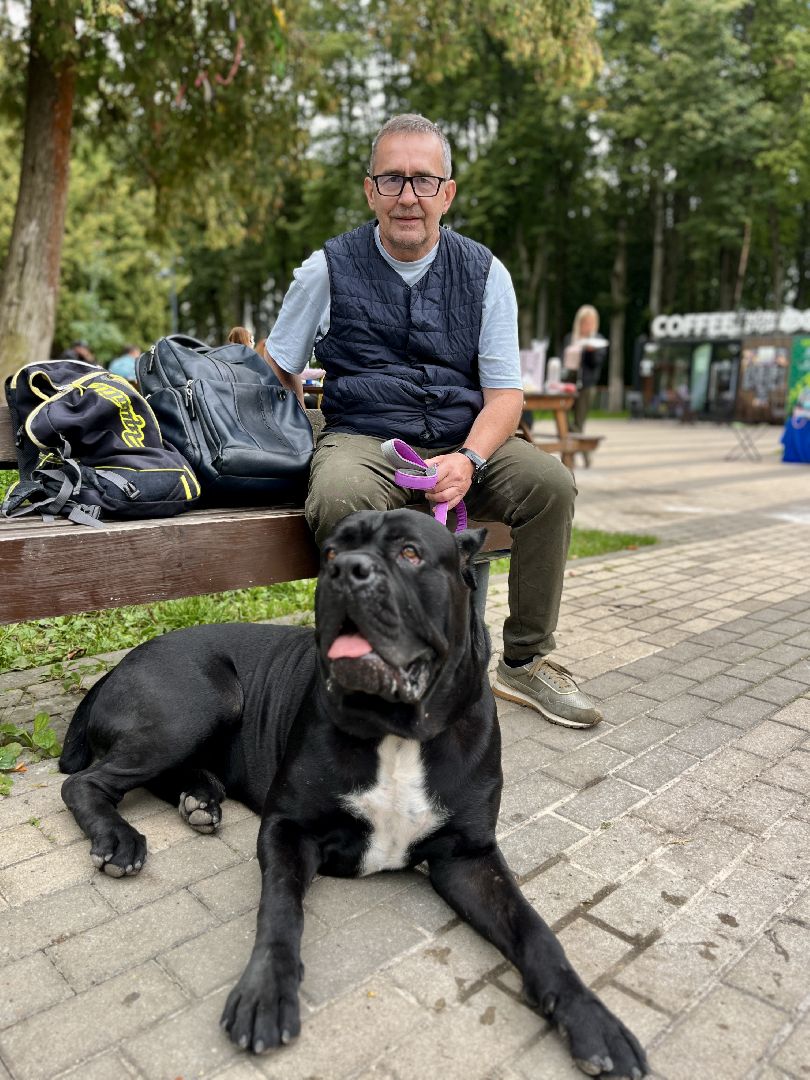наро-фоминск, выставка собак, нара-дог, наро-фоминский городской округ, центральный парк наро-фоминска,