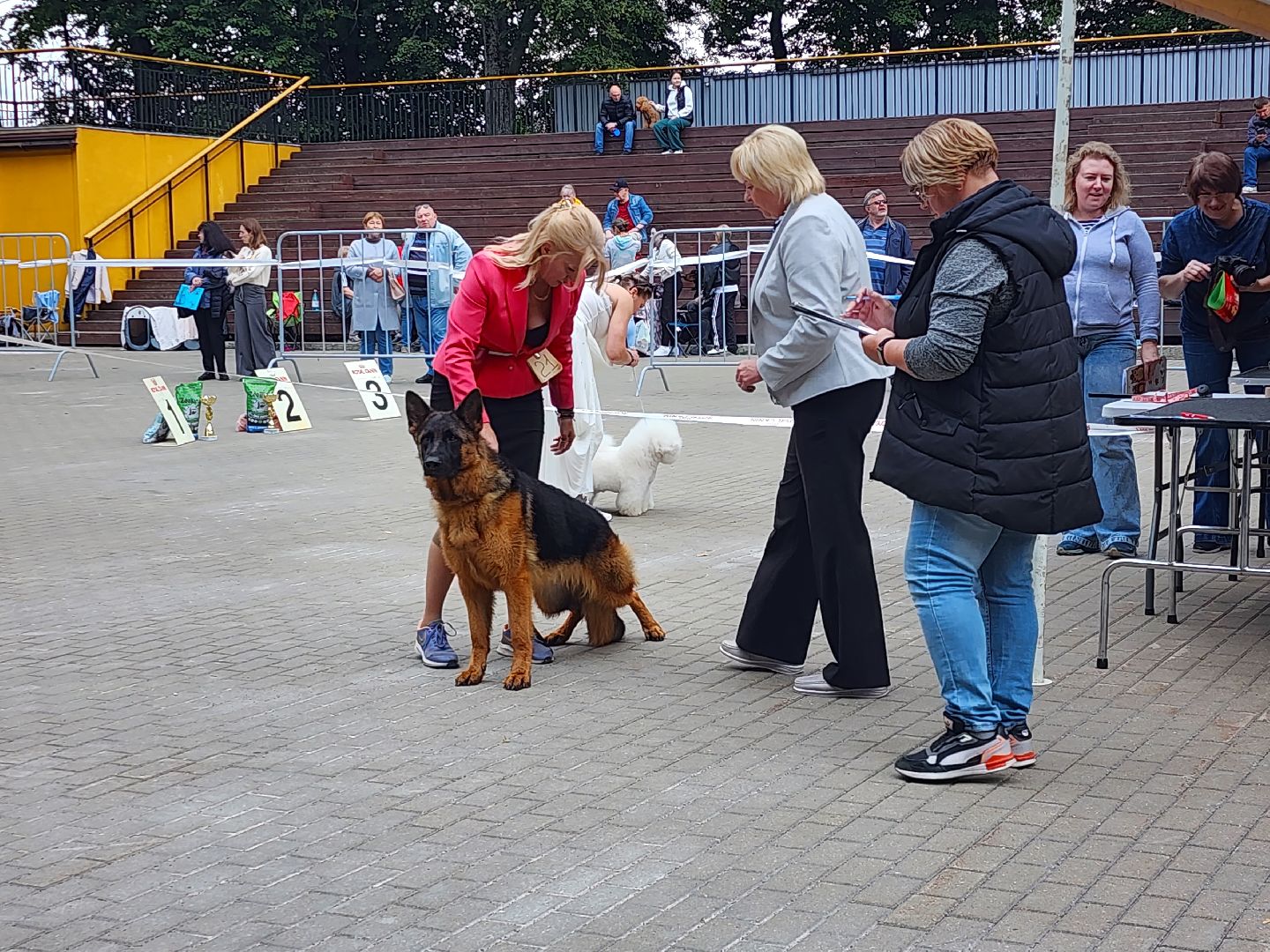 наро-фоминск, выставка собак, нара-дог, наро-фоминский городской округ, центральный парк наро-фоминска,