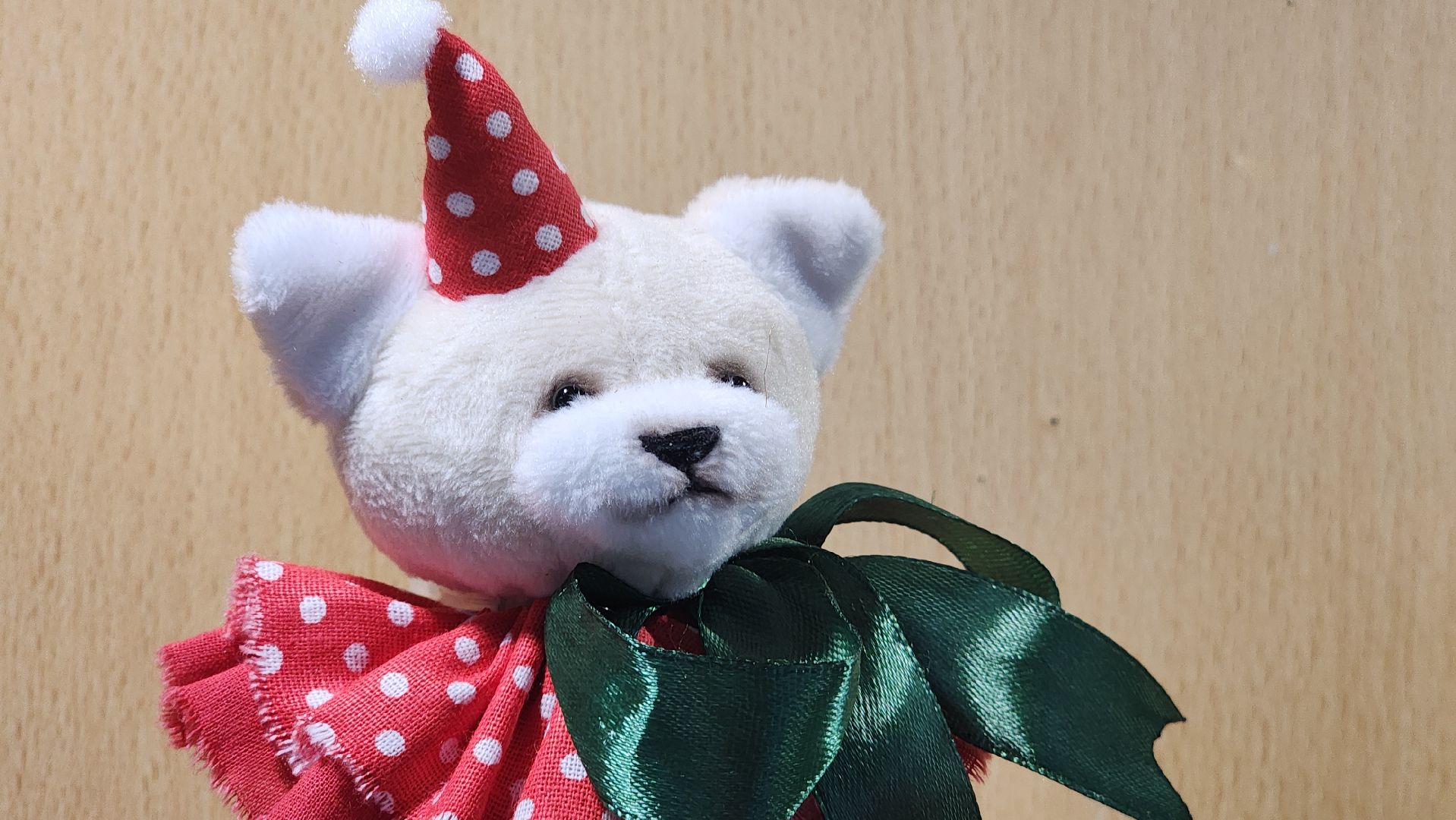 волоколамск, библиотека, день открытых дверей,