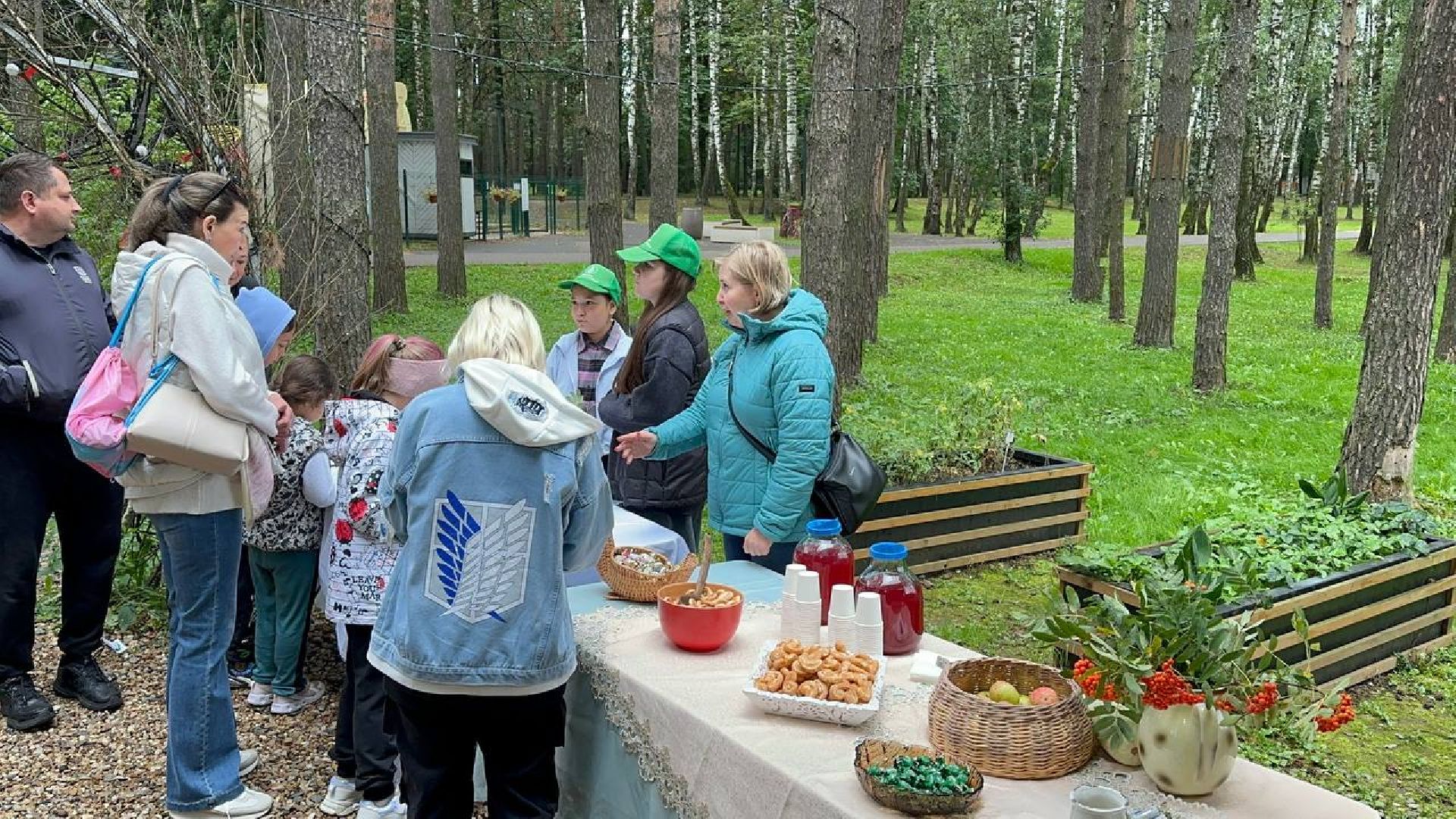 культура, домодедово, туризм,