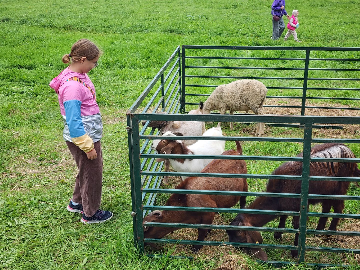 мураново, усадьба мураново, пушкинский городской округ, день варенья, культура, Фестиваль ,