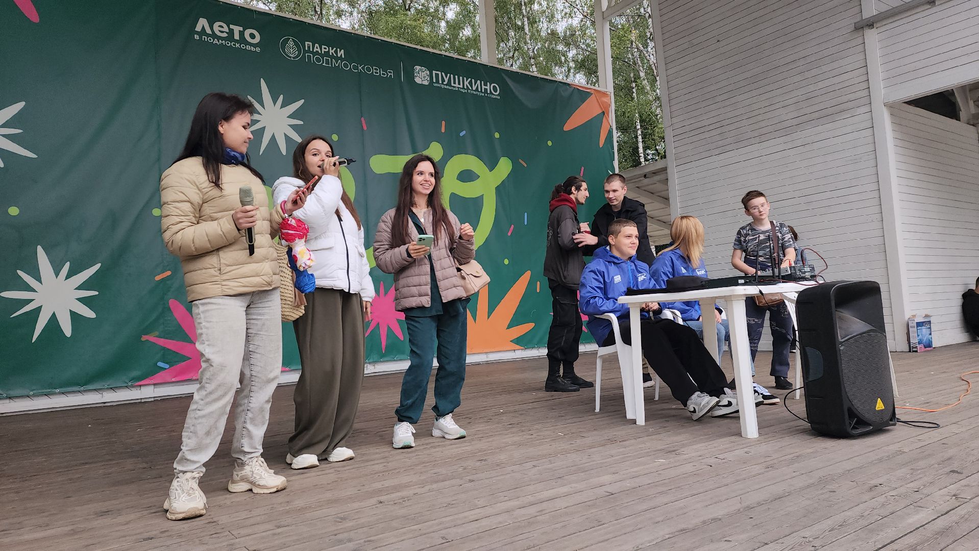 вертикалки, пушкино, музыкальное мероприятие, поэтический вечер, центральный парк, молодая гвардия, стихи, песни,молодежная акция,