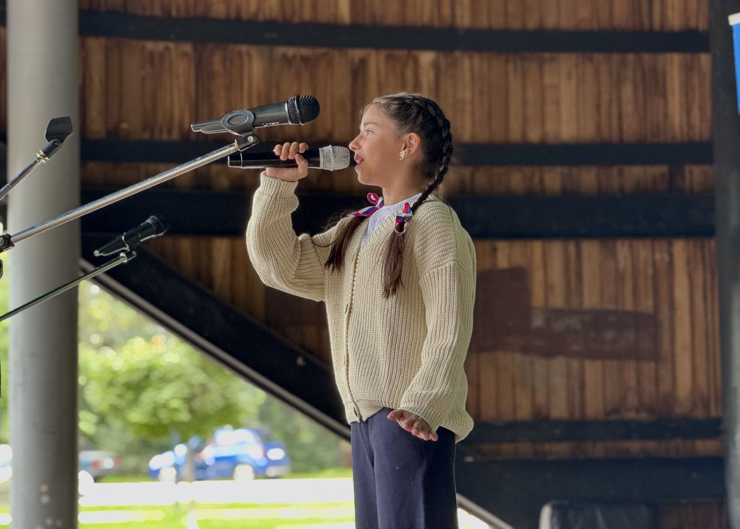 концерт,  флаг, россия,