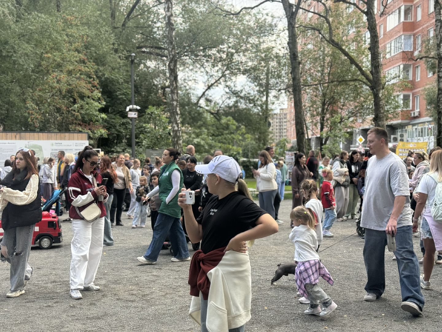 фестиваль животных , собаки в добрые руки, ленинский городской округ, концерт, мастер классы,выставка ,