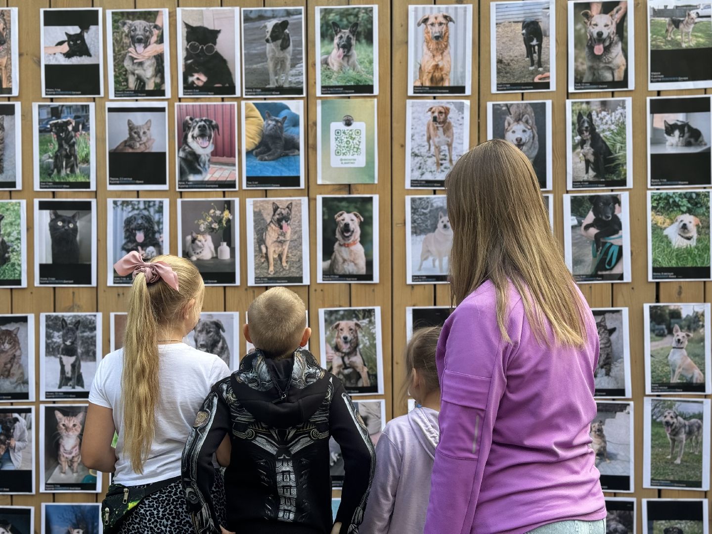 фестиваль животных , собаки в добрые руки, ленинский городской округ, концерт, мастер классы,выставка ,