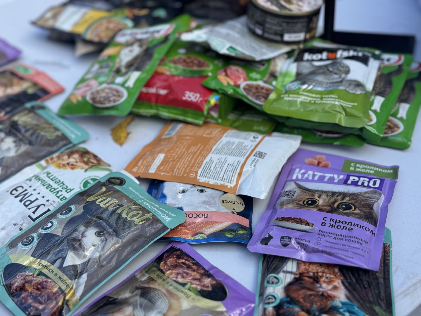 фестиваль животных , собаки в добрые руки, ленинский городской округ, концерт, мастер классы,выставка ,