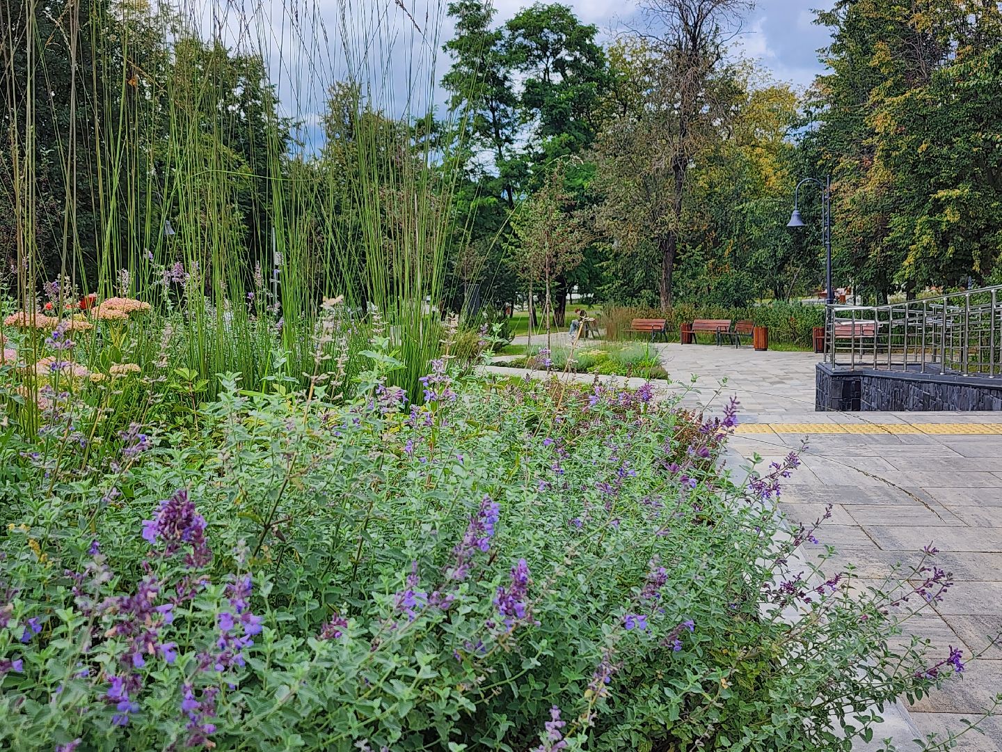 благоустройство, реконструкция, сквер бугрова, ногинск, богородский городской округ,