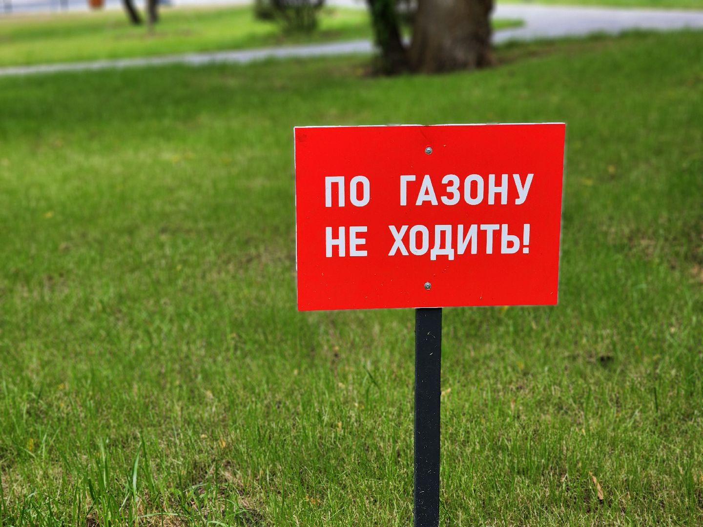 благоустройство, реконструкция, сквер бугрова, ногинск, богородский городской округ,