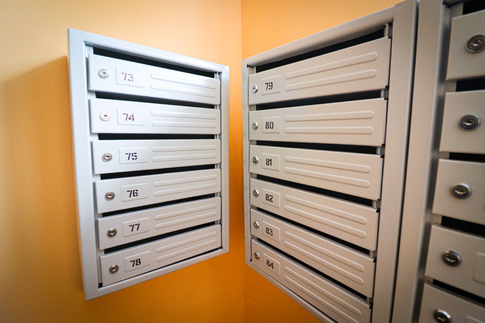 клин, общество, жкх, ремонт подездов,