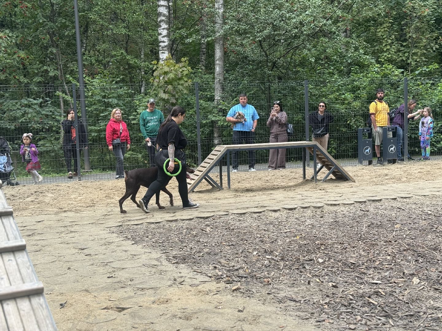 фестиваль животных , ленинский городской округ, соревнования собак, мастер класс,